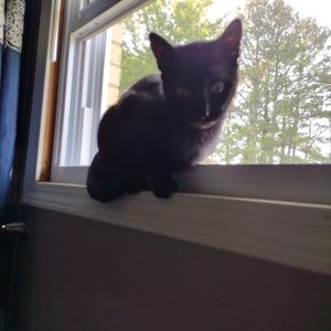 Meet your Posher, Abi